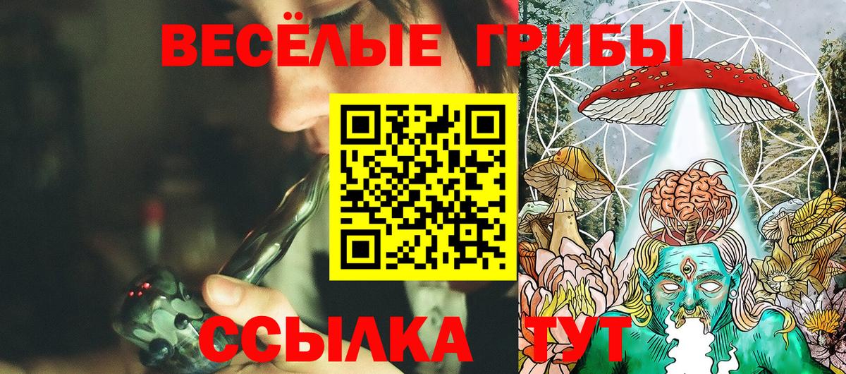 Галлюциногенные грибы прущие грибы Чайковский