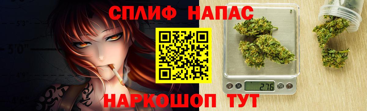 Бошки Шишки семена Чайковский